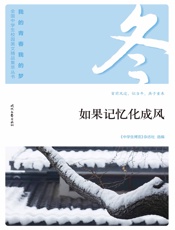 如果记忆化成风