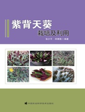 紫背天葵栽培及利用