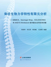 脊柱生物力学特性有限元分析：MIMICS、Geomagic Wrap、SOLIDWORKS 和ANSYS Workbench软件联合应用实例详解