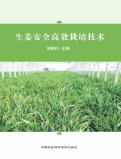 生姜安全高效栽培技术