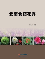 云南食药花卉