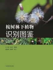 桉树林下植物识别图鉴