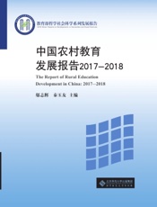 中国农村教育发展报告 2019