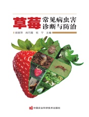 草莓常见病虫害诊断与防治
