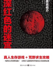 深红色的迷宫