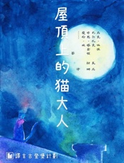 屋顶上的猫大人-爱伦坡等