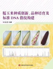 糯玉米种质创新、品种培育及标准DNA指纹构建