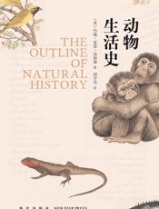 动物生活史