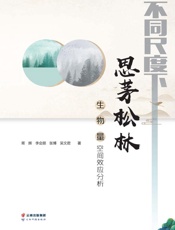 不同尺度下思茅松林生物量空间效应分析