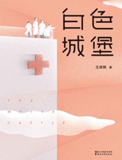 白色城堡(- 王成钢
