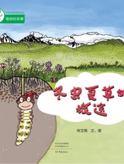 冬虫夏草的旅途