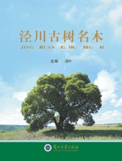 泾川古树名木