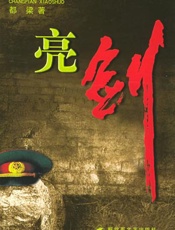 亮剑 - 都梁