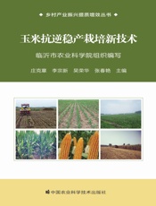 玉米抗逆稳产栽培新技术