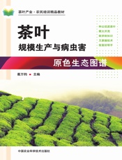茶叶规模生产与病虫害原色生态图谱