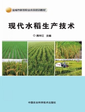 现代水稻生产技术