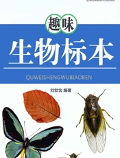 趣味生物标本