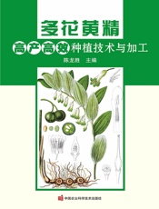多花黄精高产高效种植技术与加工