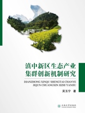 滇中新区生态产业集群创新机制研究