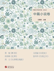 中国文学佳作选·中篇小说卷（2022）