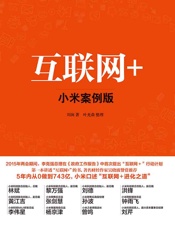互联网+：小米案例版