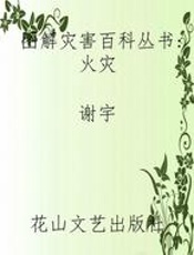 图解灾害百科丛书 火灾