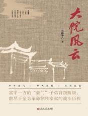 大院风云