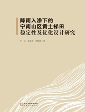 降雨入渗下的宁南山区黄土梯田稳定性及优化设计研究