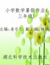 小学数学暑假作业(三年级)