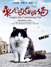 乘公交车的猫