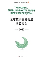 全球数字贸易促进指数报告 2020