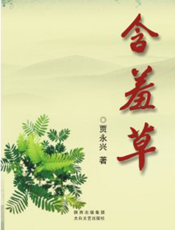 含羞草