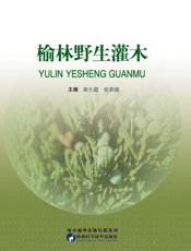 榆林野生灌木