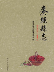 枣强县志