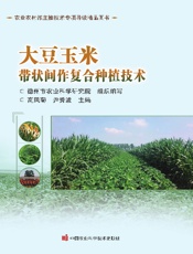 大豆玉米带状间作复合种植技术