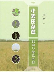 小麦田杂草识别与绿色防控
