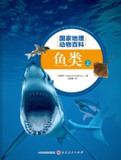 鱼类（上）