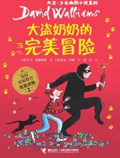 大盗奶奶的完美冒险