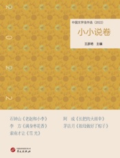中国文学佳作选·小小说卷（2022）