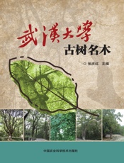 武汉大学古树名木