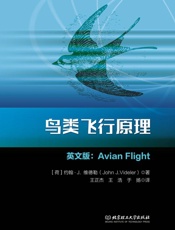 鸟类飞行原理