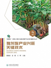 独龙族产业兴旺关键技术