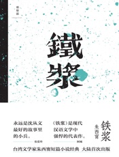 铁浆 - 朱西甯