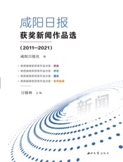 咸阳日报获奖新闻作品选（2011—2021）