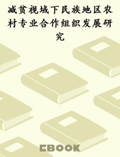 减贫视域下民族地区农村专业合作组织发展研究