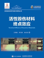 活性毁伤材料终点效应