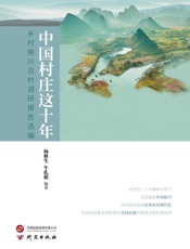 中国村庄这十年：乡村振兴百村调研报告选编