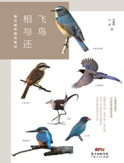 飞鸟相与还　南方城市观鸟笔记