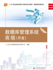 数据库管理系统高级（开发）