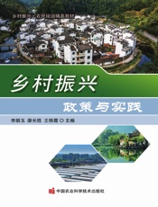 乡村振兴政策与实践